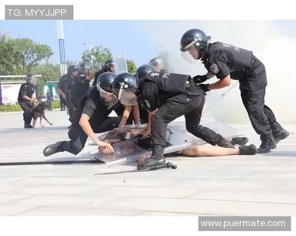 深圳滑板队防守战术解析与实战应用探讨