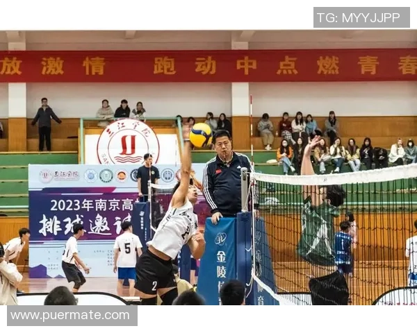 深圳排球队的辉煌征程与总决赛背后的奋斗故事