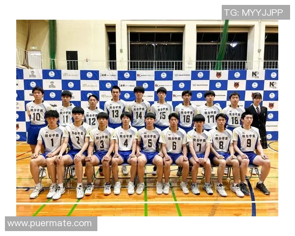 排球装备选购指南：如何选择适合你的球衣与品牌推荐